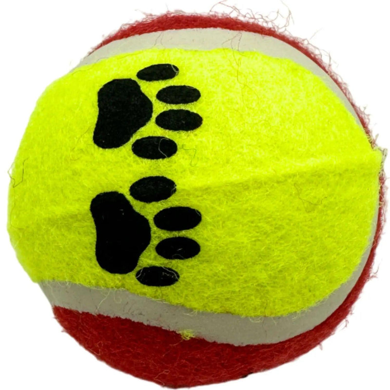Conjunto com 3 bolinhas de brincar cães e gatos Brinquedos interativos divertidos para pet Bolinha de tenis colorida