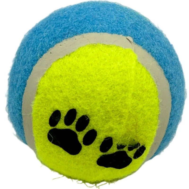 Conjunto com 3 bolinhas de brincar cães e gatos Brinquedos interativos divertidos para pet Bolinha de tenis colorida